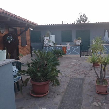 Aquila Di Mare Villa Fiumicino Bilik gambar